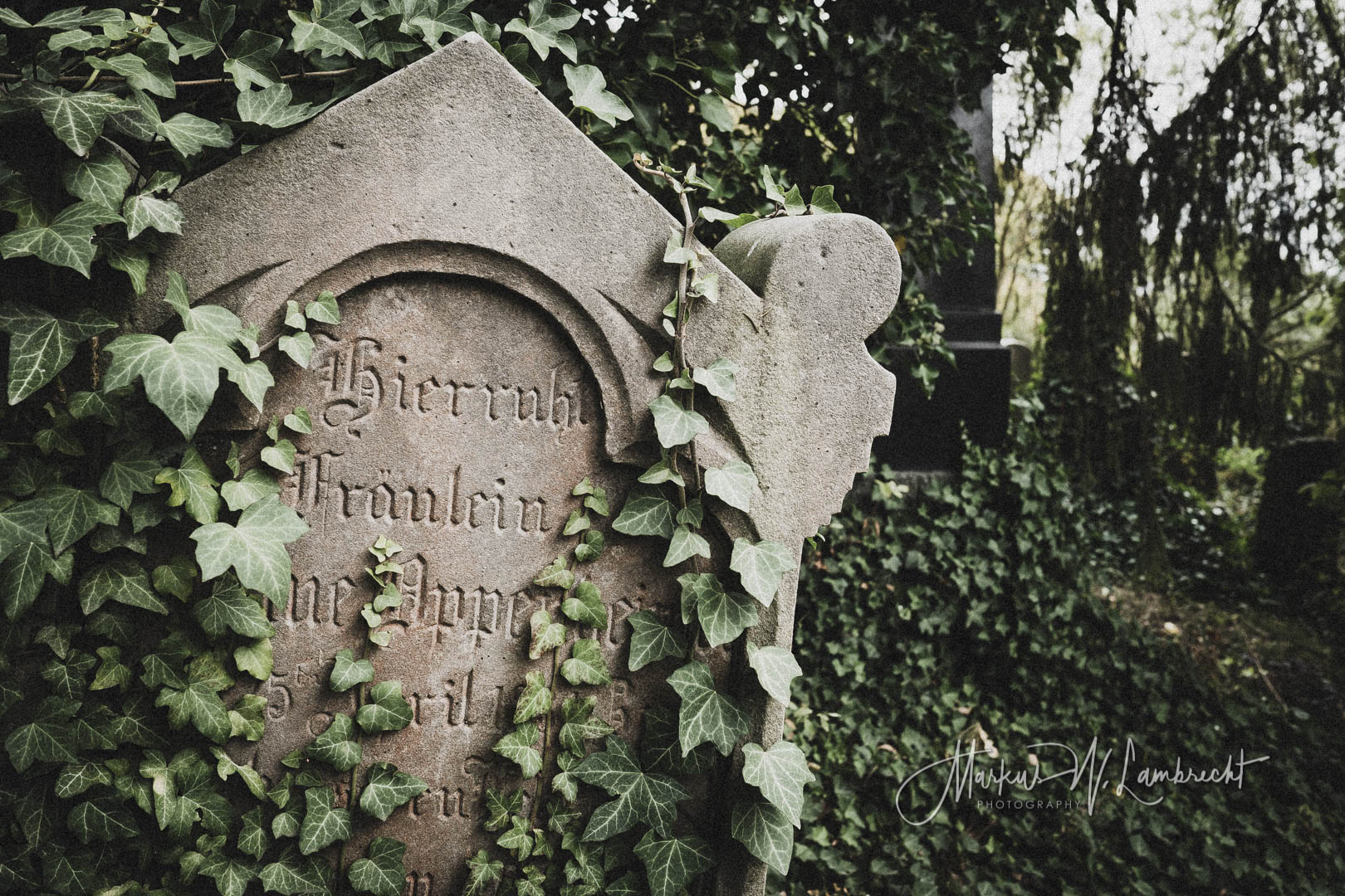Rimbeck, Jüdischer Friedhof